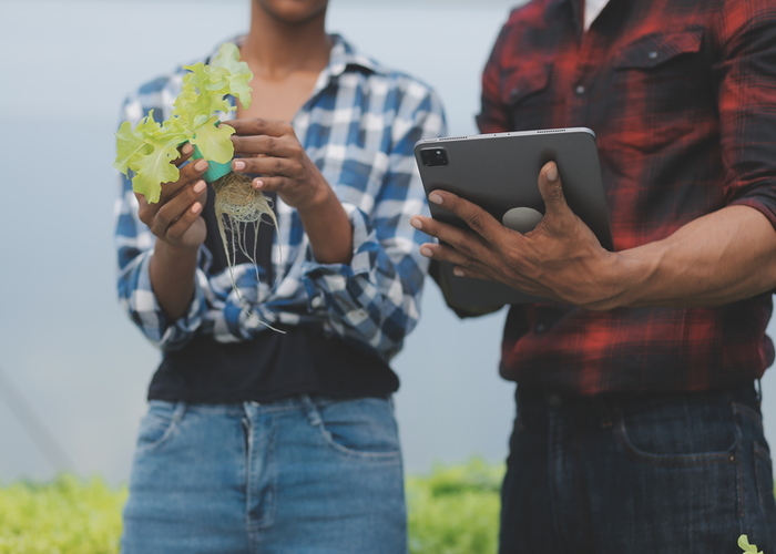 Training Farmers on Digital Tools